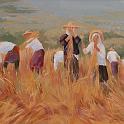 segadoras de trigo